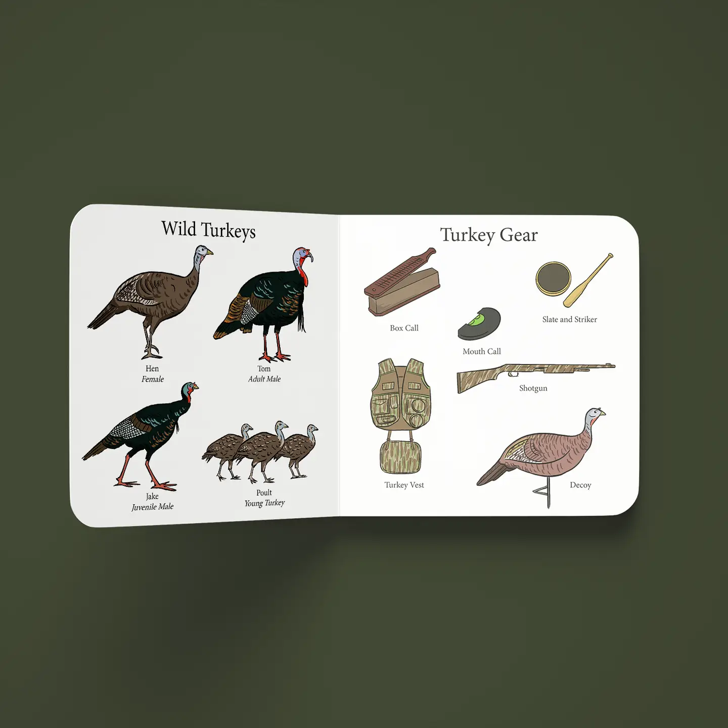Turkey Season Children's Book
